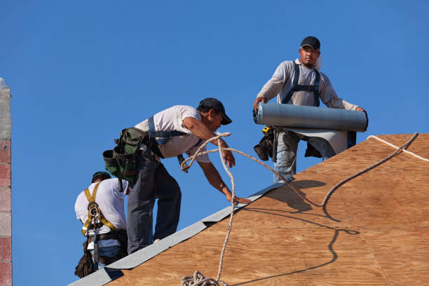 Best Residential Roofing Contractor  in Little Walnut Village, NM