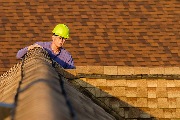 Best Shingle Roofing Installation  in Little Walnut Village, NM